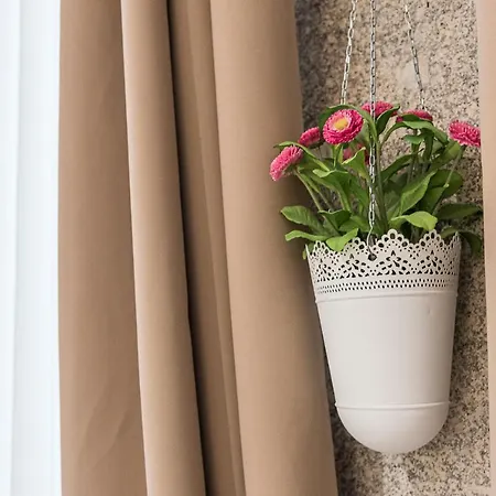 Apartment Olivia Sto Ildefonso - 1 Porto